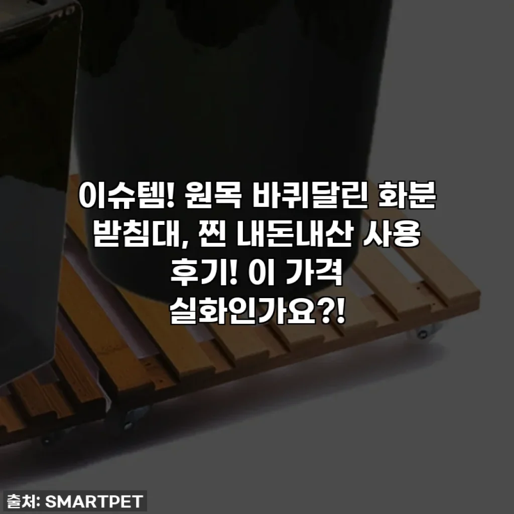 이슈템! 원목 바퀴달린 화분 받침대, 찐 내돈내산 사용 후기! 이 가격 실화인가요?!