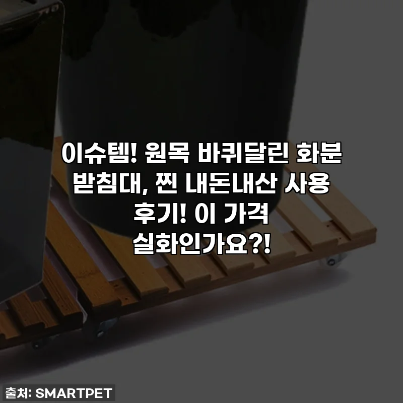 이슈템! 원목 바퀴달린 화분 받침대, 찐 내돈내산 사용 후기! 이 가격 실화인가요?!