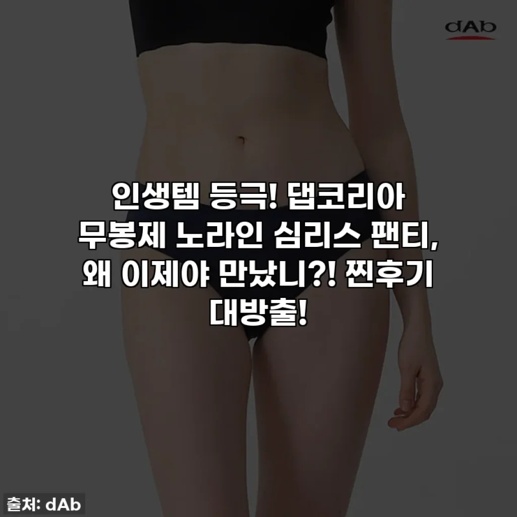 인생템 등극! 댑코리아 무봉제 노라인 심리스 팬티, 왜 이제야 만났니?! 찐후기 대방출!