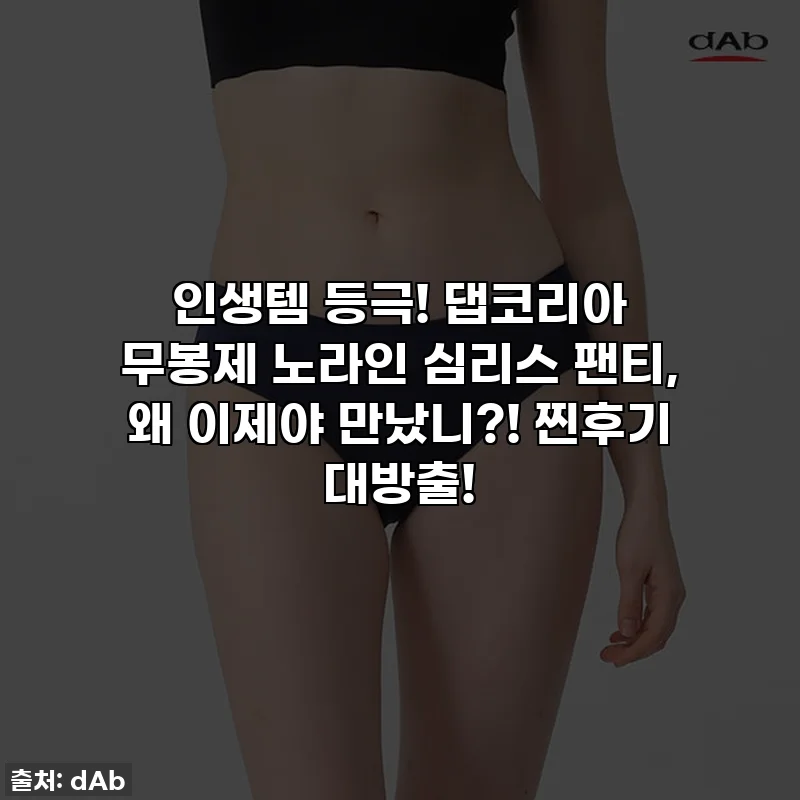 인생템 등극! 댑코리아 무봉제 노라인 심리스 팬티, 왜 이제야 만났니?! 찐후기 대방출!