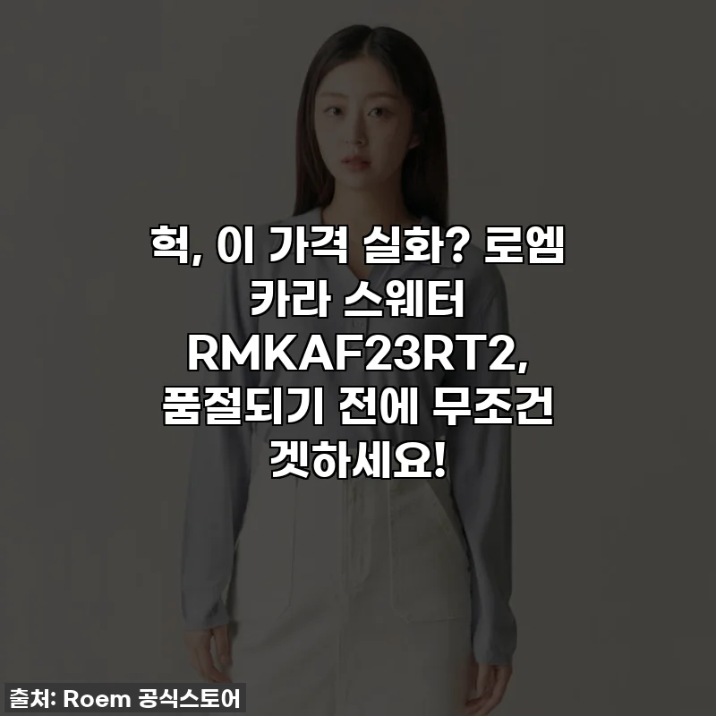 헉, 이 가격 실화? 로엠 카라 스웨터 RMKAF23RT2, 품절되기 전에 무조건 겟하세요!