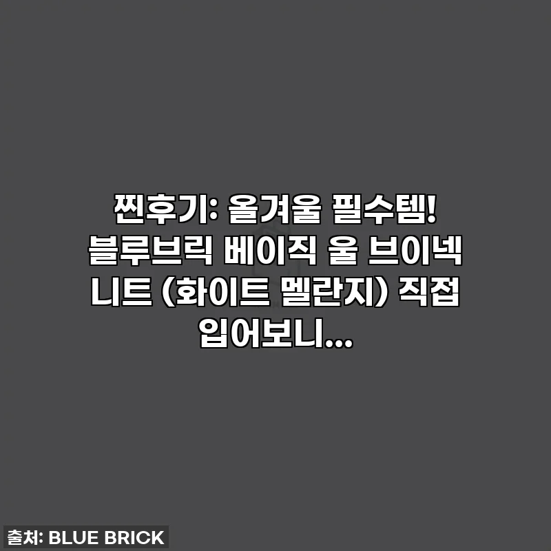 찐후기: 올겨울 필수템! 블루브릭 베이직 울 브이넥 니트 (화이트 멜란지) 직접 입어보니...