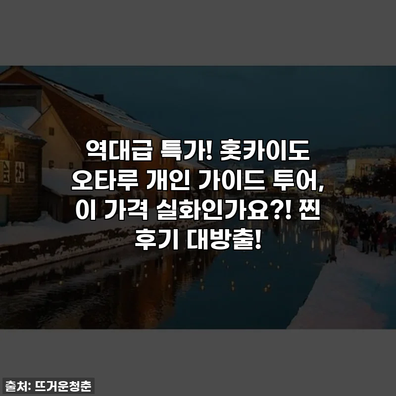 역대급 특가! 홋카이도 오타루 개인 가이드 투어, 이 가격 실화인가요?! 찐 후기 대방출!
