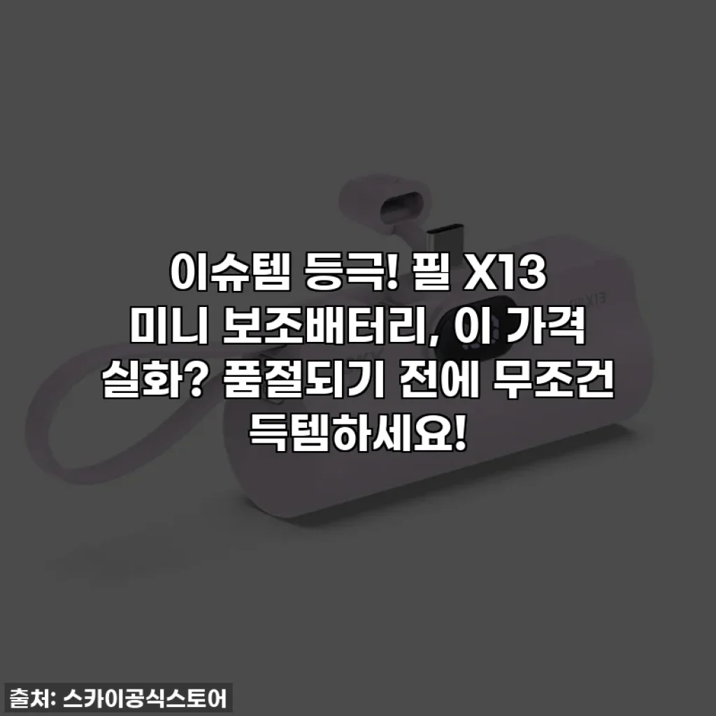 이슈템 등극! 필 X13 미니 보조배터리, 이 가격 실화? 품절되기 전에 무조건 득템하세요!