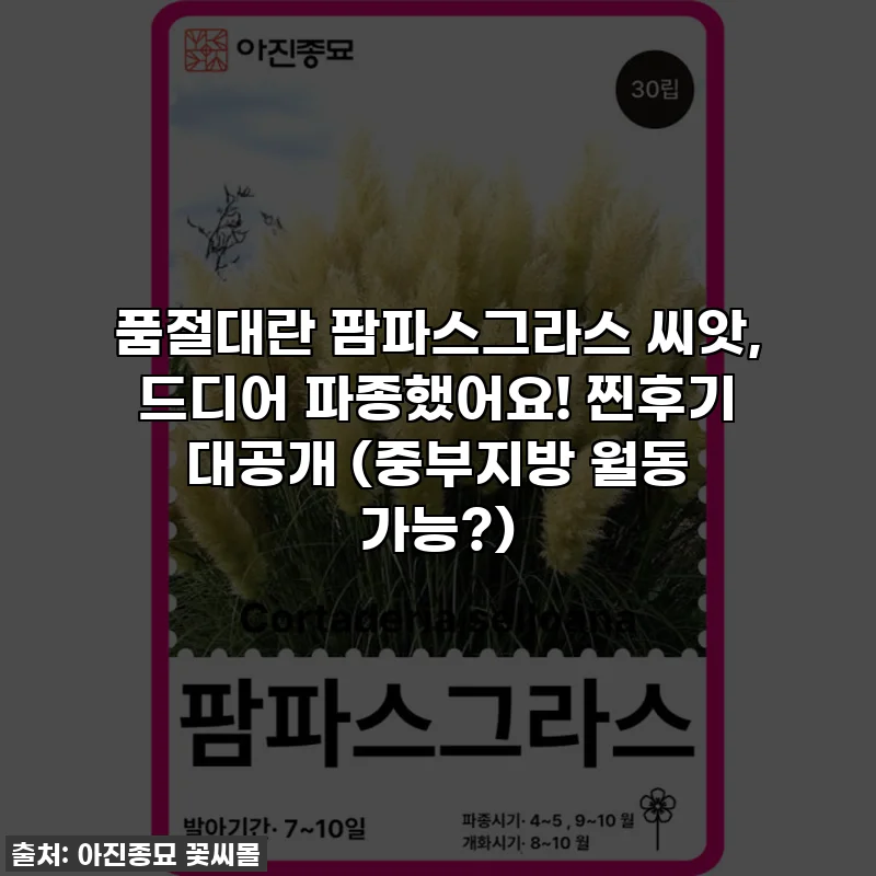 품절대란 팜파스그라스 씨앗, 드디어 파종했어요! 찐후기 대공개 (중부지방 월동 가능?)