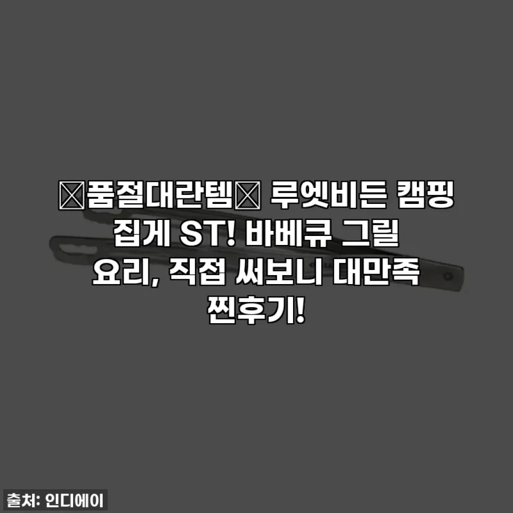 🔥품절대란템🔥 루엣비든 캠핑 집게 ST! 바베큐 그릴 요리, 직접 써보니 대만족 찐후기!