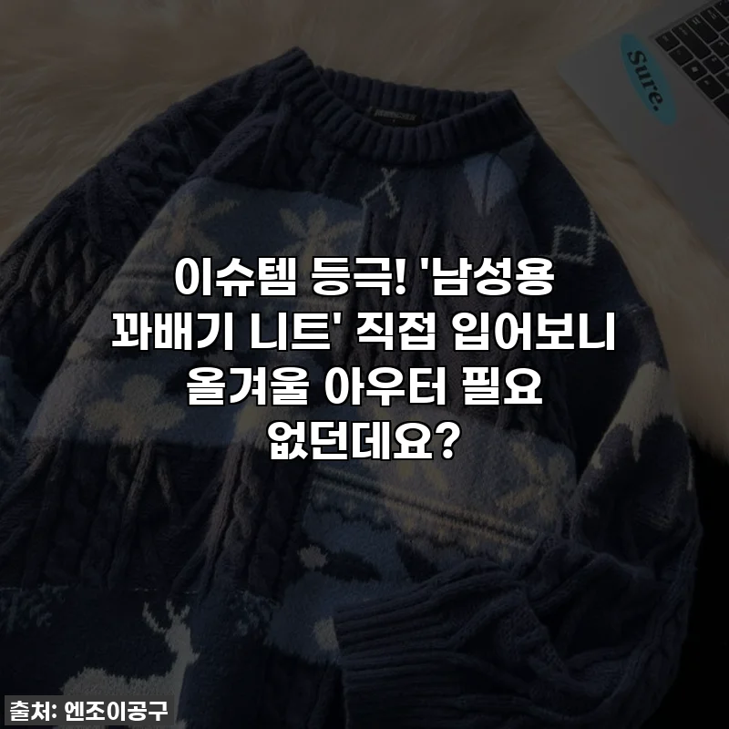 이슈템 등극! '남성용 꽈배기 니트' 직접 입어보니 올겨울 아우터 필요 없던데요?