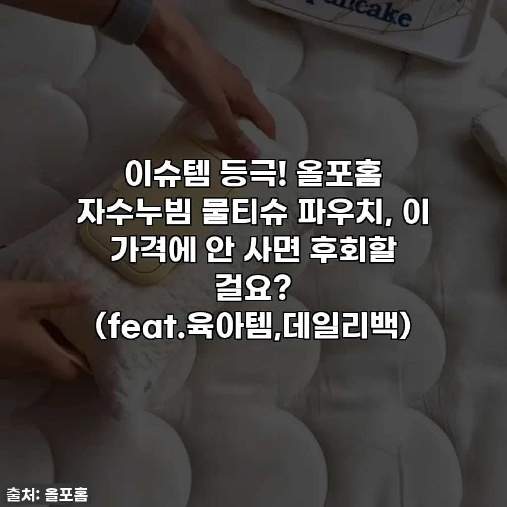 이슈템 등극! 올포홈 자수누빔 물티슈 파우치, 이 가격에 안 사면 후회할 걸요? (feat.육아템,데일리백)