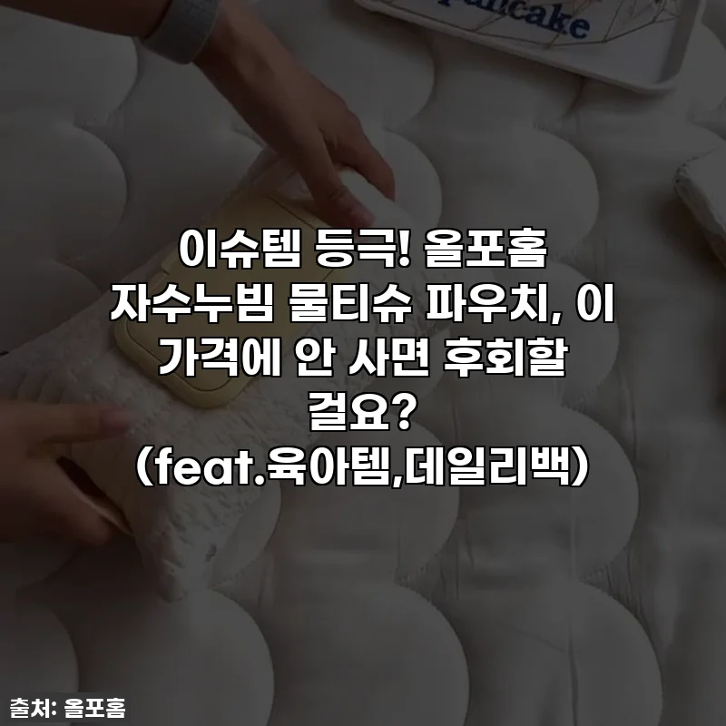 이슈템 등극! 올포홈 자수누빔 물티슈 파우치, 이 가격에 안 사면 후회할 걸요? (feat.육아템,데일리백)