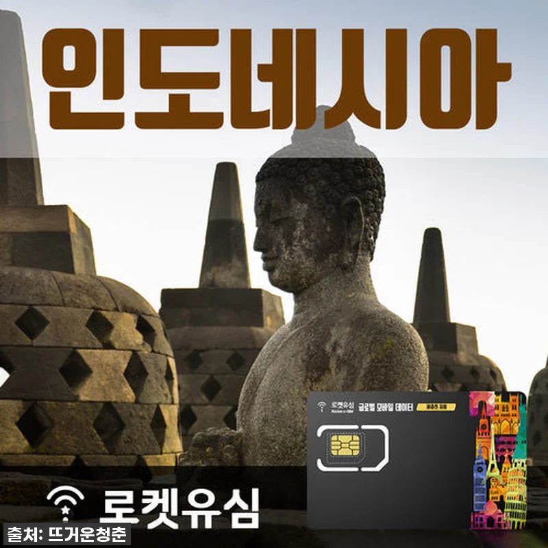 🔥 품절대란 찐후기! 로켓유심 인도네 관련 이미지 1