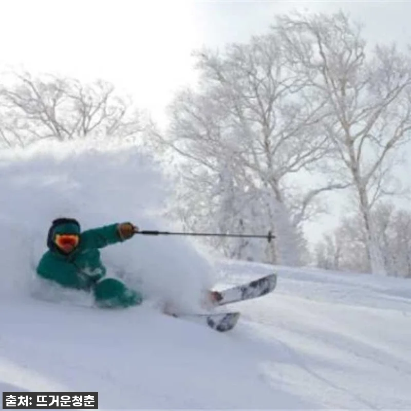 ❄️ 역대급 83% 할인! 홋카이도 관련 이미지 1