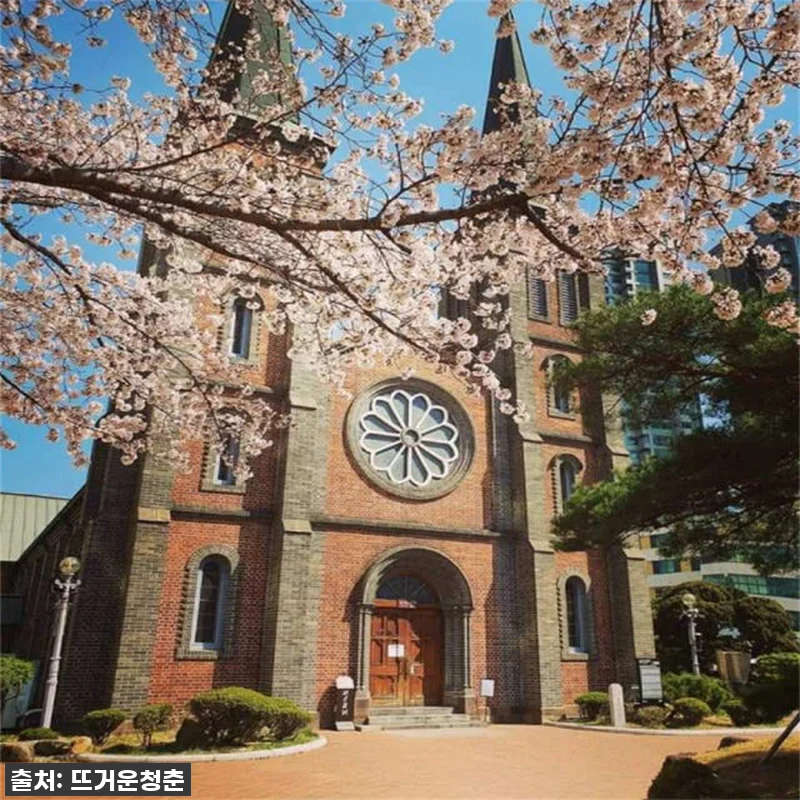 대구 반나절 투어? 낭만 가득 구이산사 & 청라언덕! 내돈내산 찐후기 (놓치면 후회할 인생여행!) 6 대구 반나절 투어? 낭만 가득 구이산 관련 이미지 2