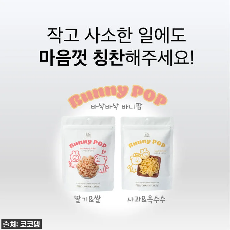 이슈템! 우리 댕댕이도 반한 코코댕 관련 이미지 2