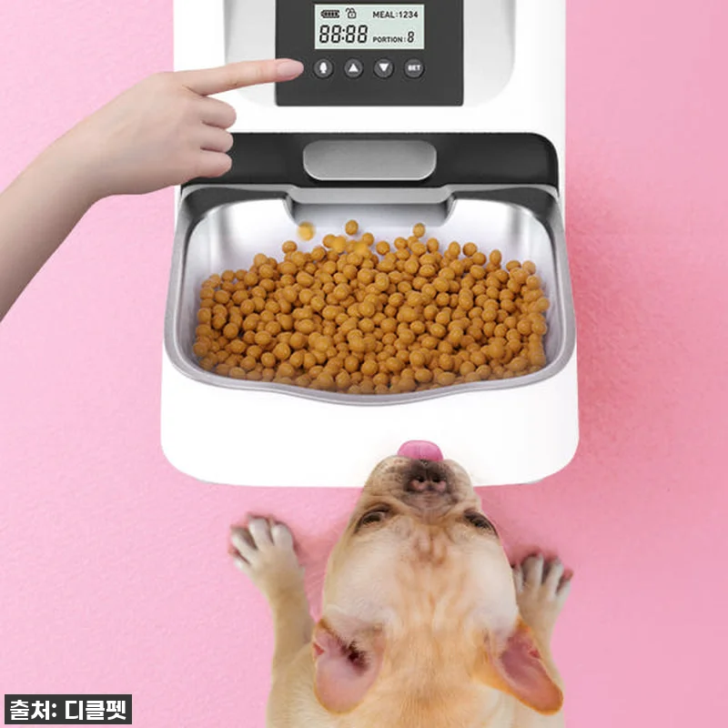 [디클펫] 강아지 고양이 스마트 자동 관련 이미지 2