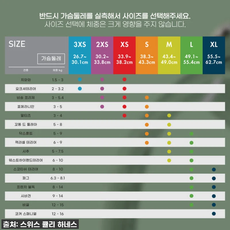 이슈템 찐후기! 우리 댕댕이 산책 필 관련 이미지 3