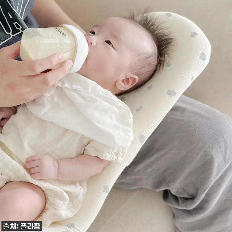 뉴코코맘 수유시트 커버, 이거 없었으 관련 이미지 3