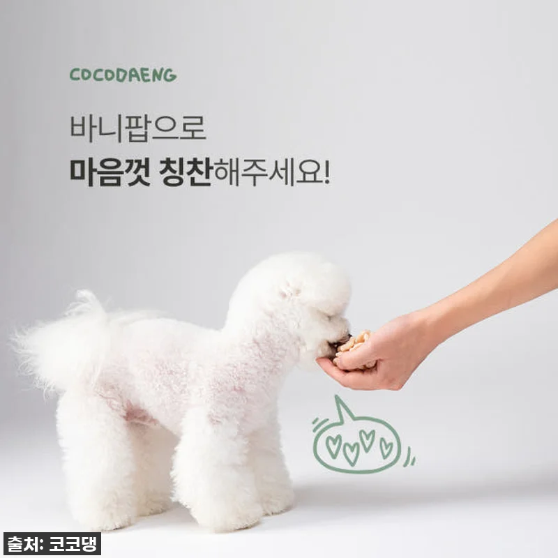 이슈템! 우리 댕댕이도 반한 코코댕 관련 이미지 4