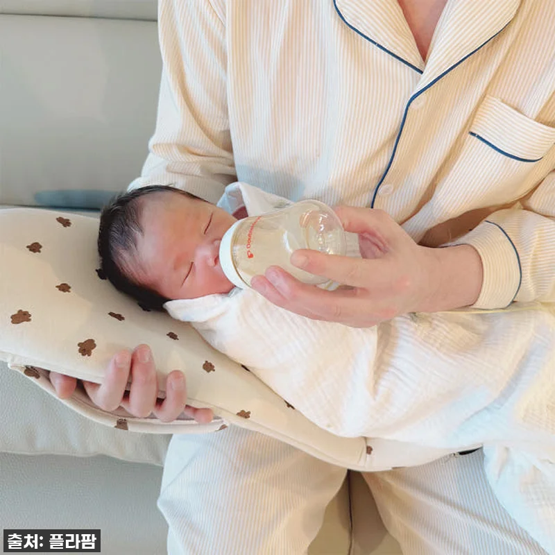 뉴코코맘 수유시트 커버, 이거 없었으 관련 이미지 5