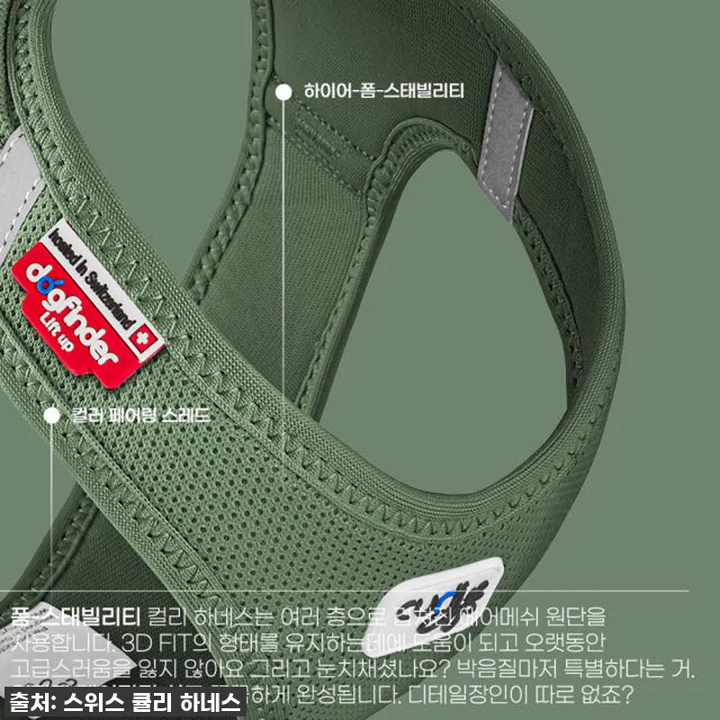 이슈템 찐후기! 우리 댕댕이 산책 필 관련 이미지 8