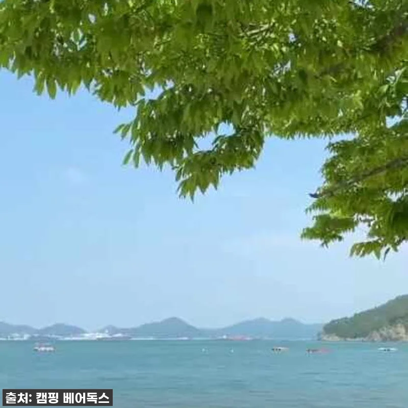 캠핑의 품격 UP! 코베아 구이바다 관련 이미지 9