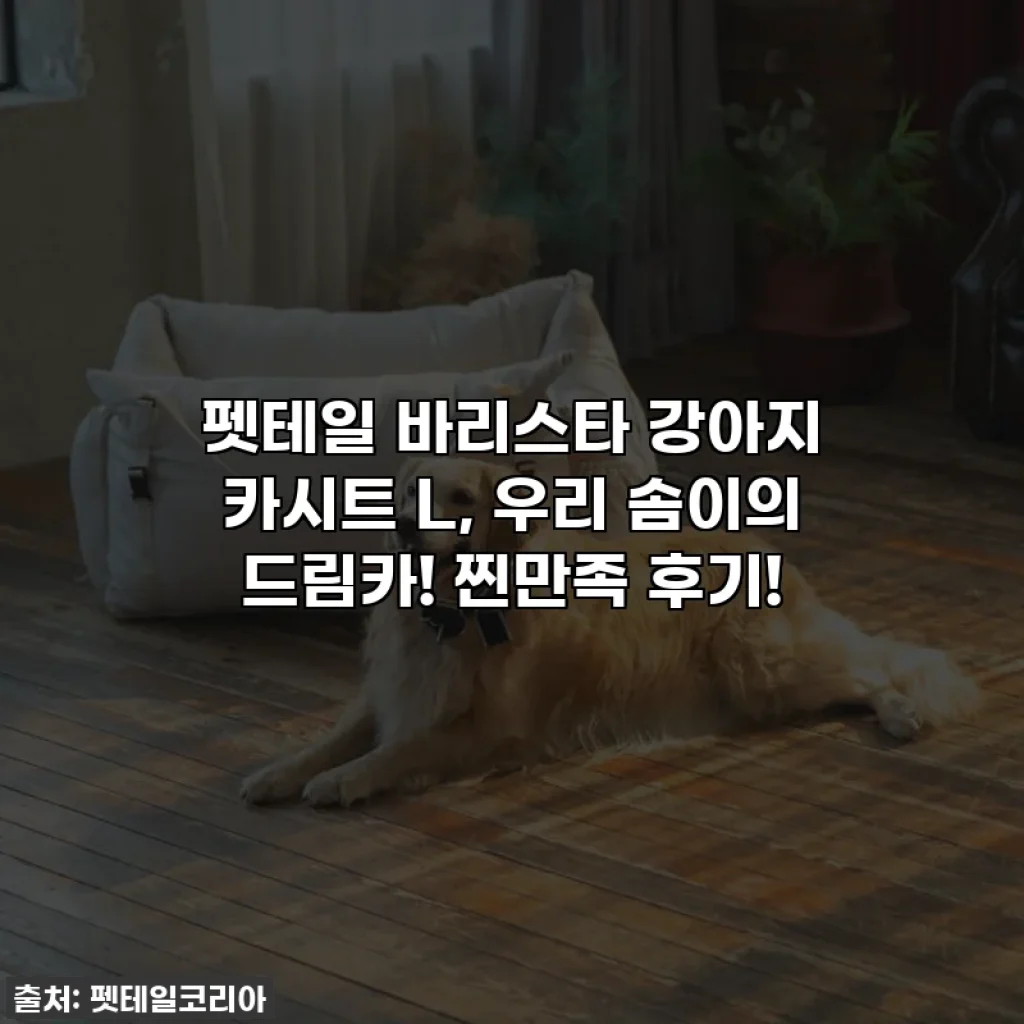 펫테일 바리스타 강아지 카시트 L, 우리 솜이의 드림카! 찐만족 후기!