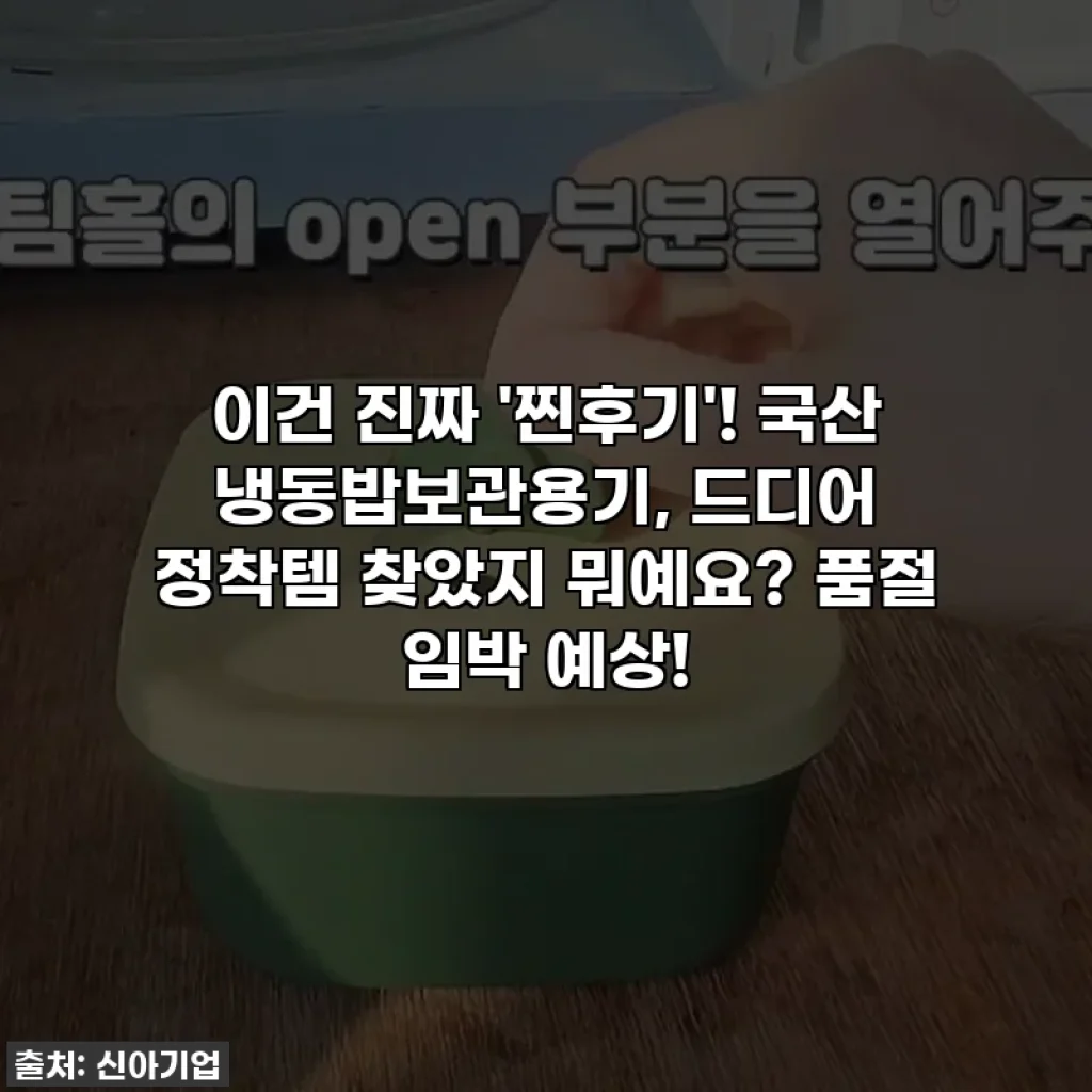 이건 진짜 '찐후기'! 국산 냉동밥보관용기, 드디어 정착템 찾았지 뭐예요? 품절 임박 예상!