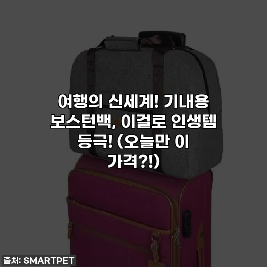 여행의 신세계! 기내용 보스턴백, 이걸로 인생템 등극! (오늘만 이 가격?!)
