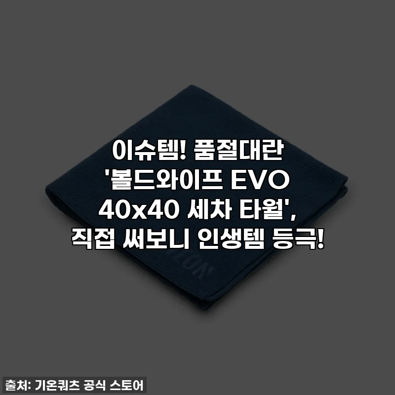 이슈템! 품절대란 '볼드와이프 EVO 40x40 세차 타월', 직접 써보니 인생템 등극!