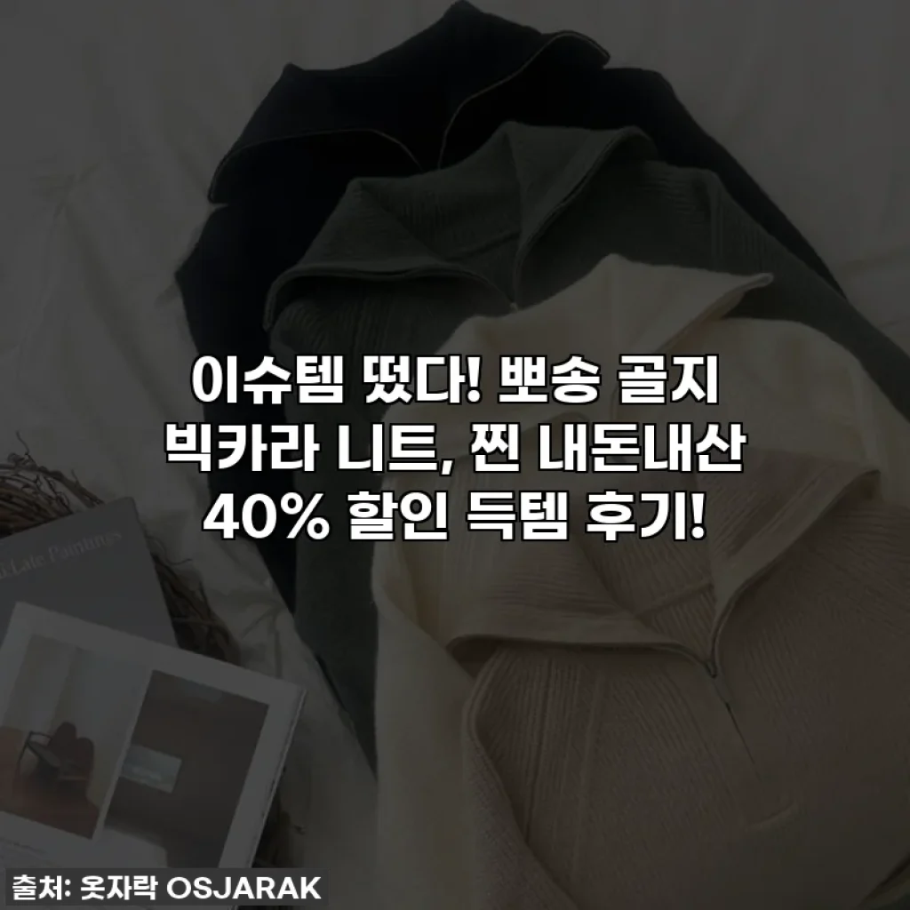 이슈템 떴다! 뽀송 골지 빅카라 니트, 찐 내돈내산 40% 할인 득템 후기!