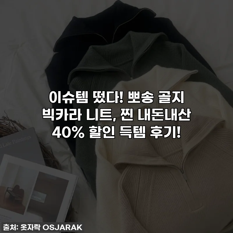 이슈템 떴다! 뽀송 골지 빅카라 니트, 찐 내돈내산 40% 할인 득템 후기!