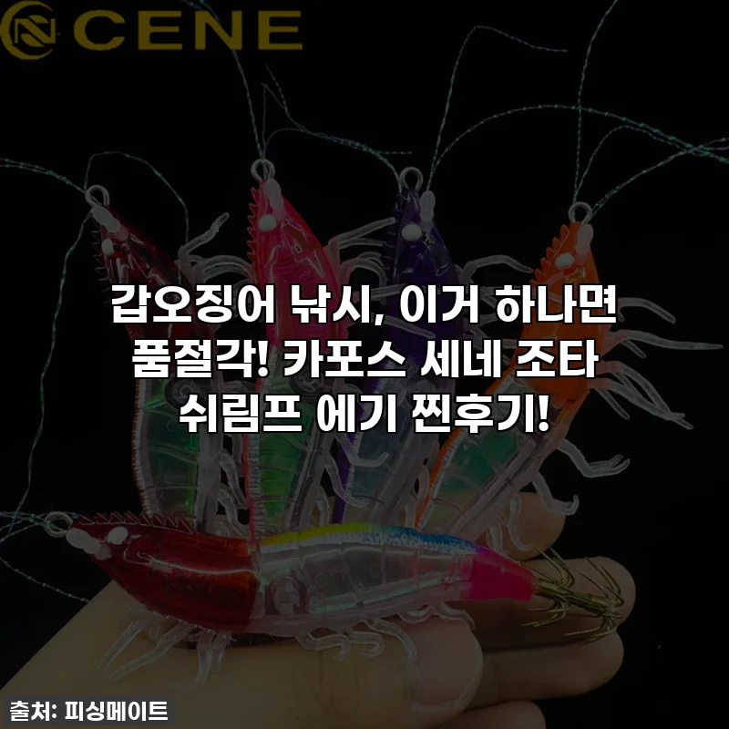 갑오징어 낚시, 이거 하나면 품절각! 카포스 세네 조타 쉬림프 에기 찐후기!