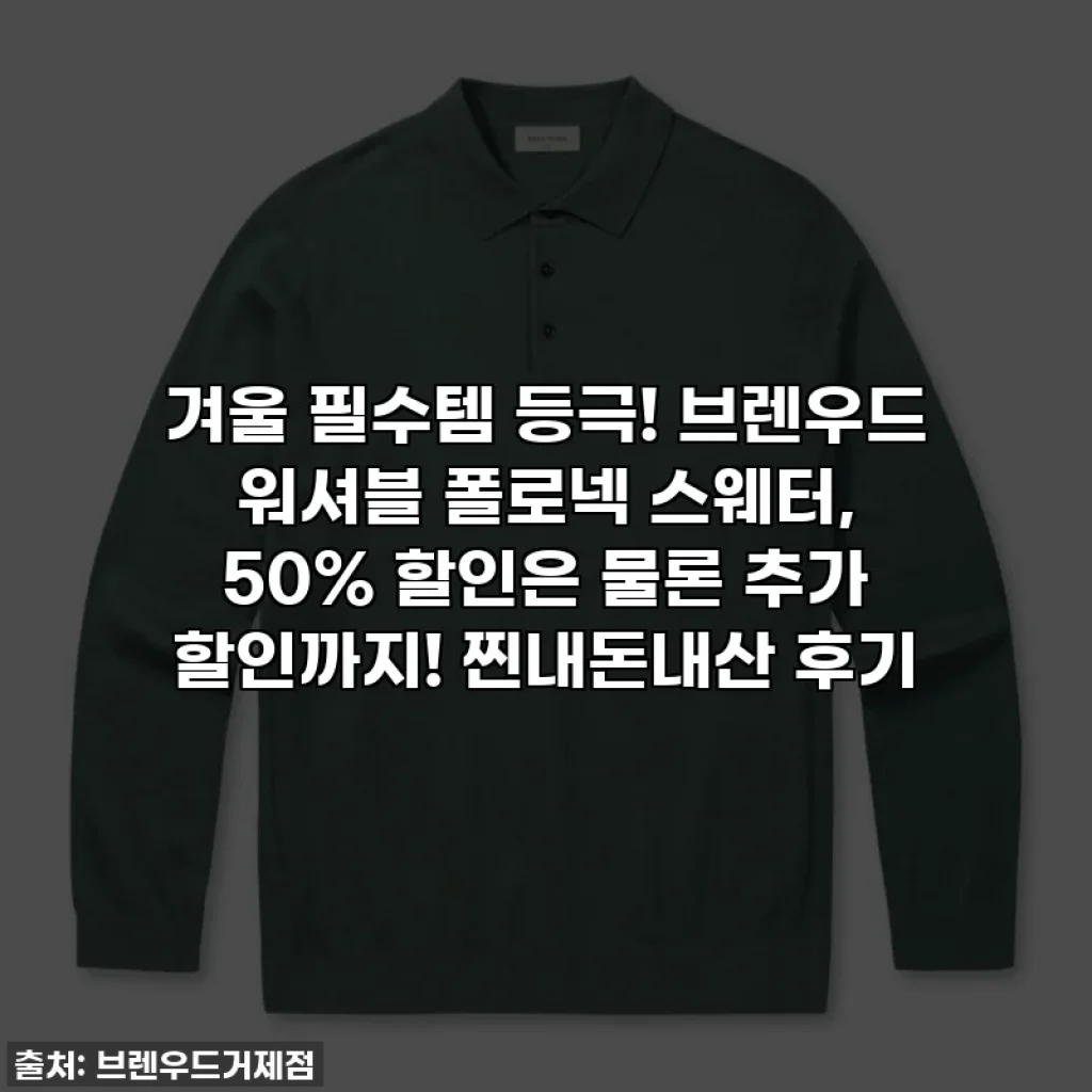 겨울 필수템 등극! 브렌우드 워셔블 폴로넥 스웨터, 50% 할인은 물론 추가 할인까지! 찐내돈내산 후기
