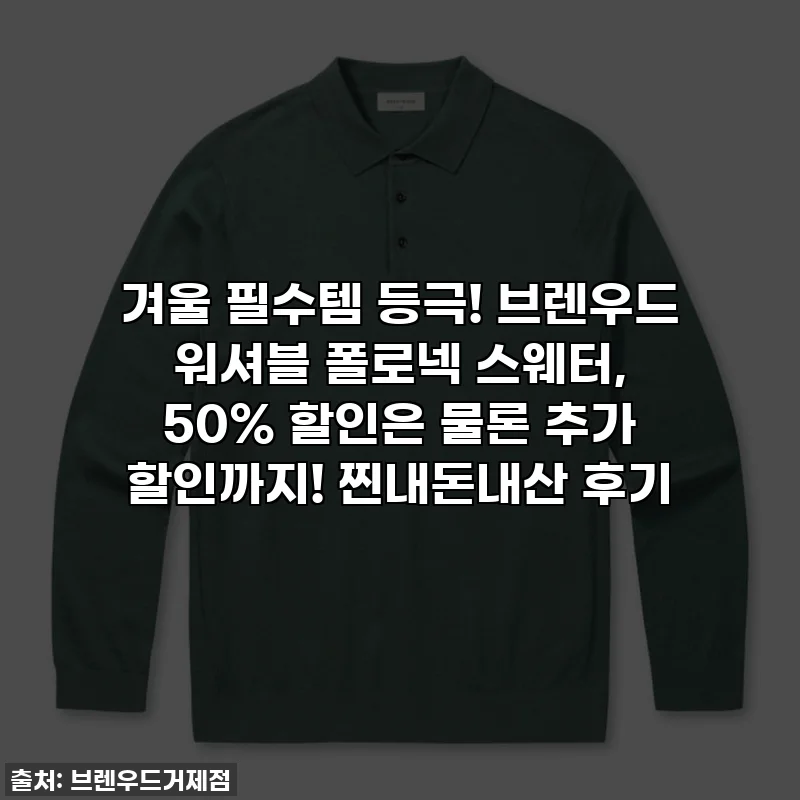 겨울 필수템 등극! 브렌우드 워셔블 폴로넥 스웨터, 50% 할인은 물론 추가 할인까지! 찐내돈내산 후기
