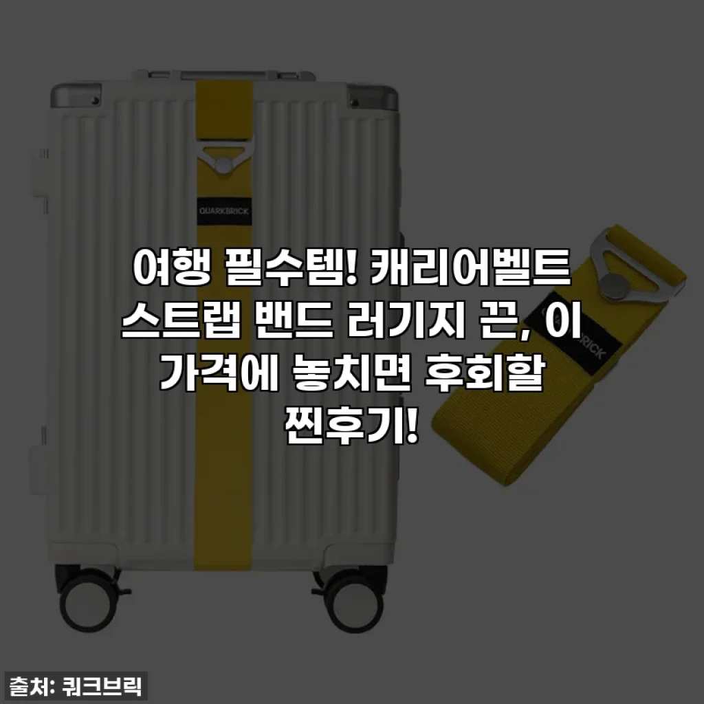 여행 필수템! 캐리어벨트 스트랩 밴드 러기지 끈, 이 가격에 놓치면 후회할 찐후기!