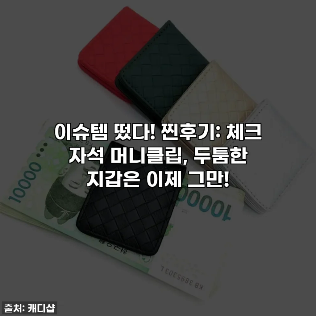 이슈템 떴다! 찐후기: 체크 자석 머니클립, 두툼한 지갑은 이제 그만!
