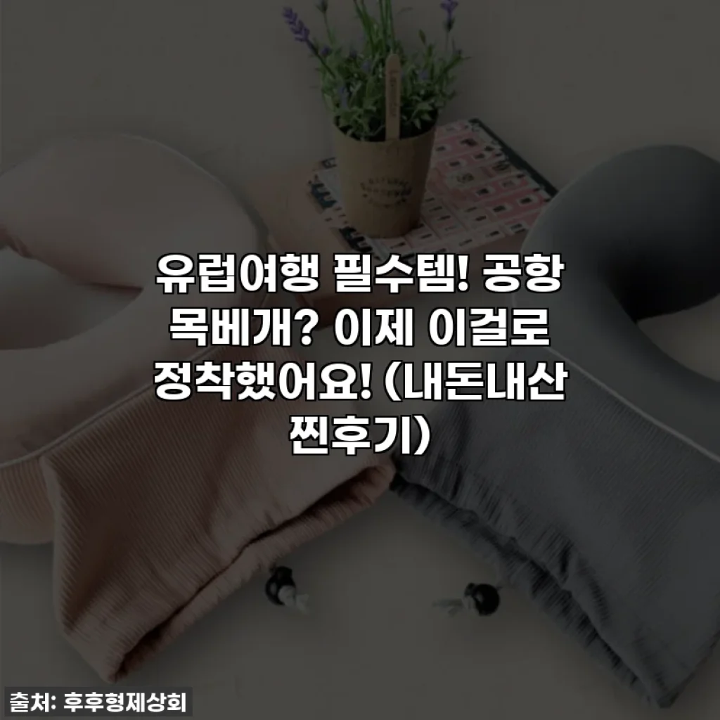 유럽여행 필수템! 공항 목베개? 이제 이걸로 정착했어요! (내돈내산 찐후기)