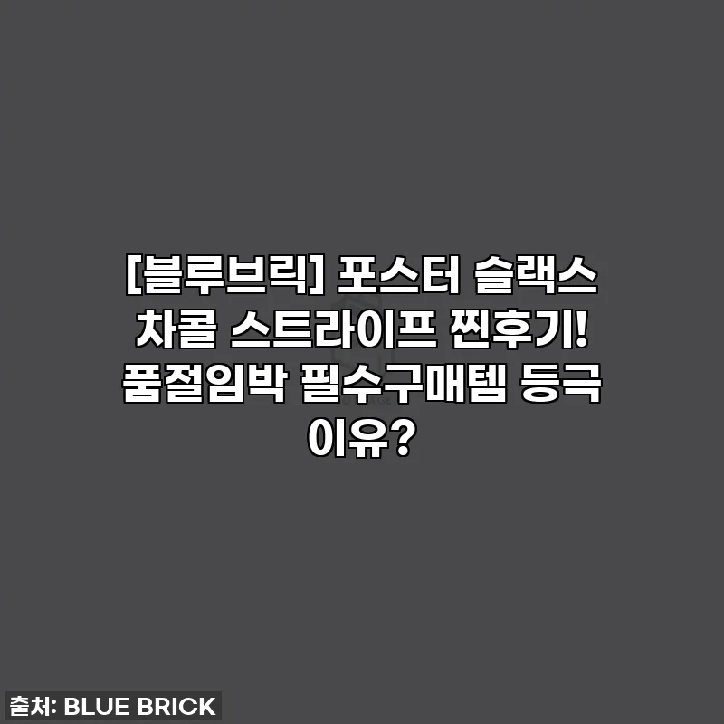 [블루브릭] 포스터 슬랙스 차콜 스트라이프 찐후기! 품절임박 필수구매템 등극 이유?
