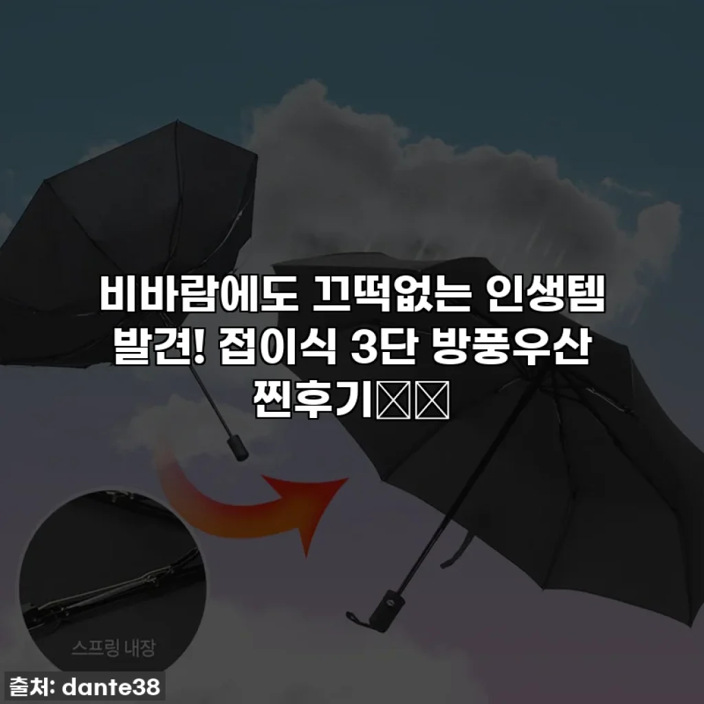 비바람에도 끄떡없는 인생템 발견! 접이식 3단 방풍우산 찐후기☔️
