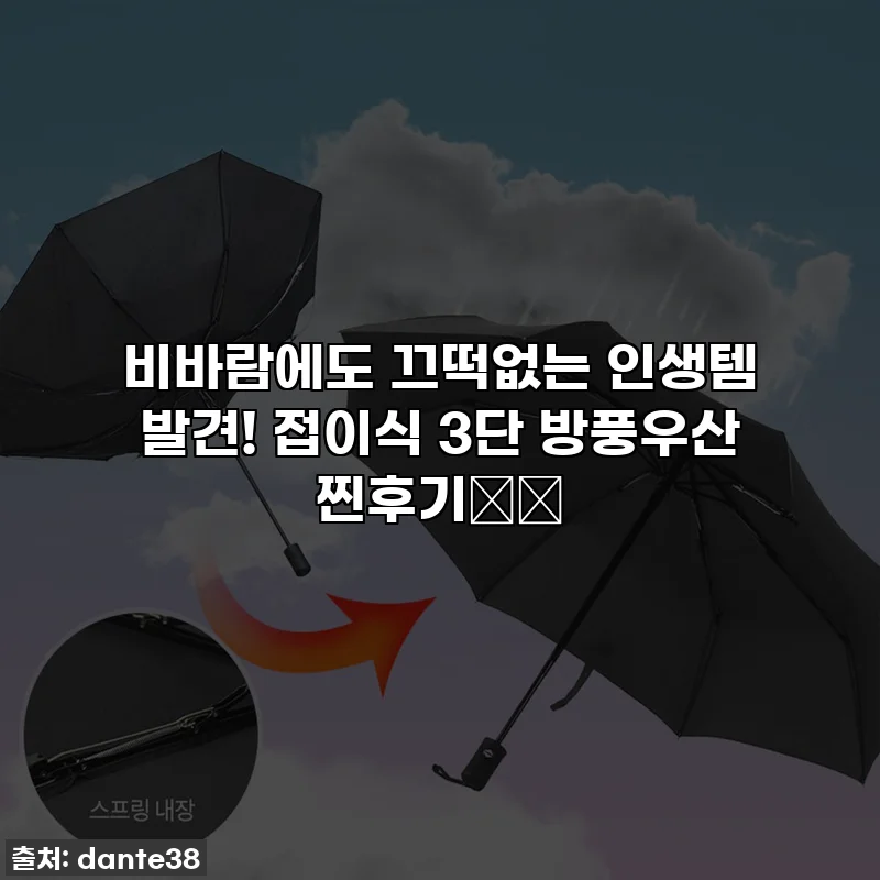 비바람에도 끄떡없는 인생템 발견! 접이식 3단 방풍우산 찐후기☔️