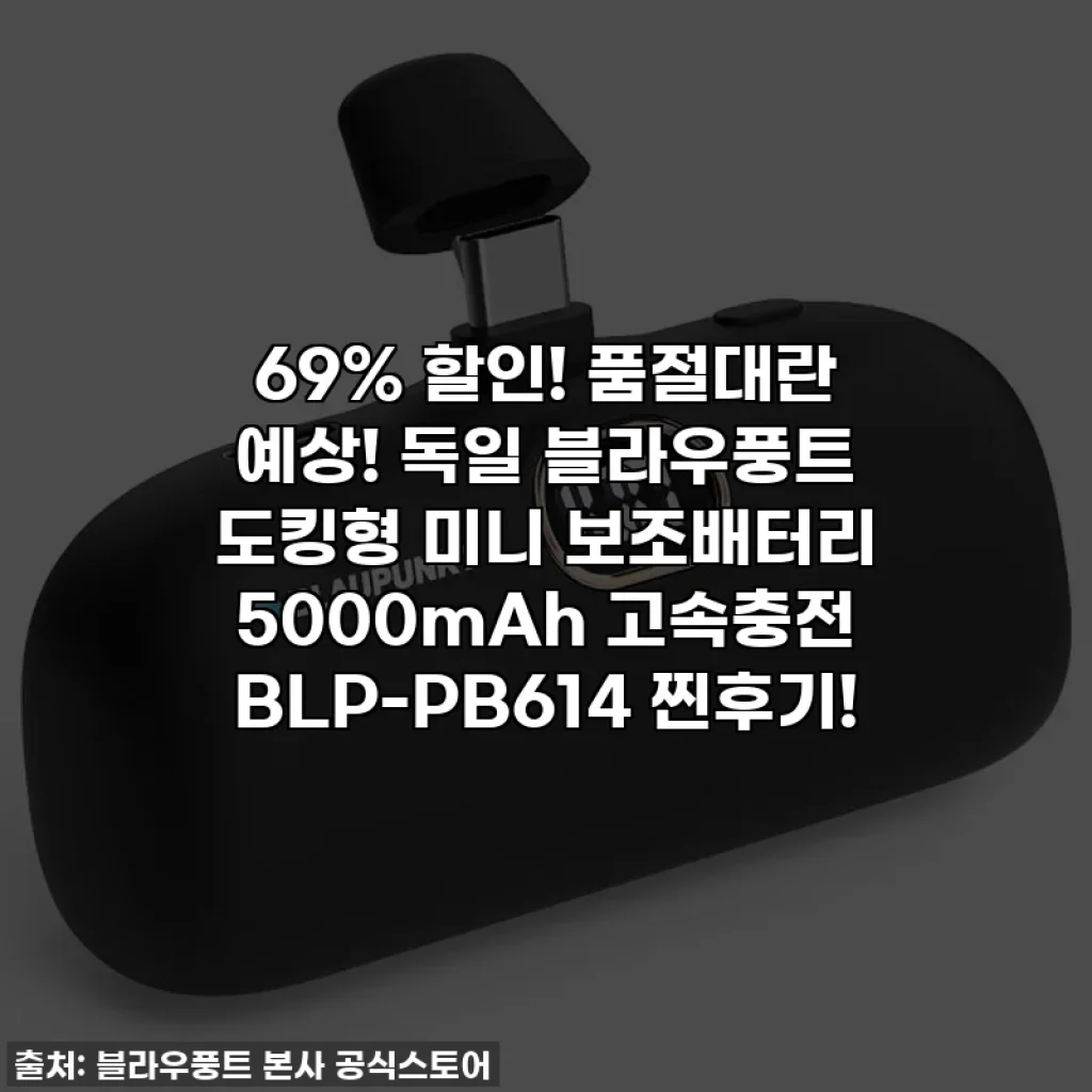 69% 할인! 품절대란 예상! 독일 블라우풍트 도킹형 미니 보조배터리 5000mAh 고속충전 BLP-PB614 찐후기!