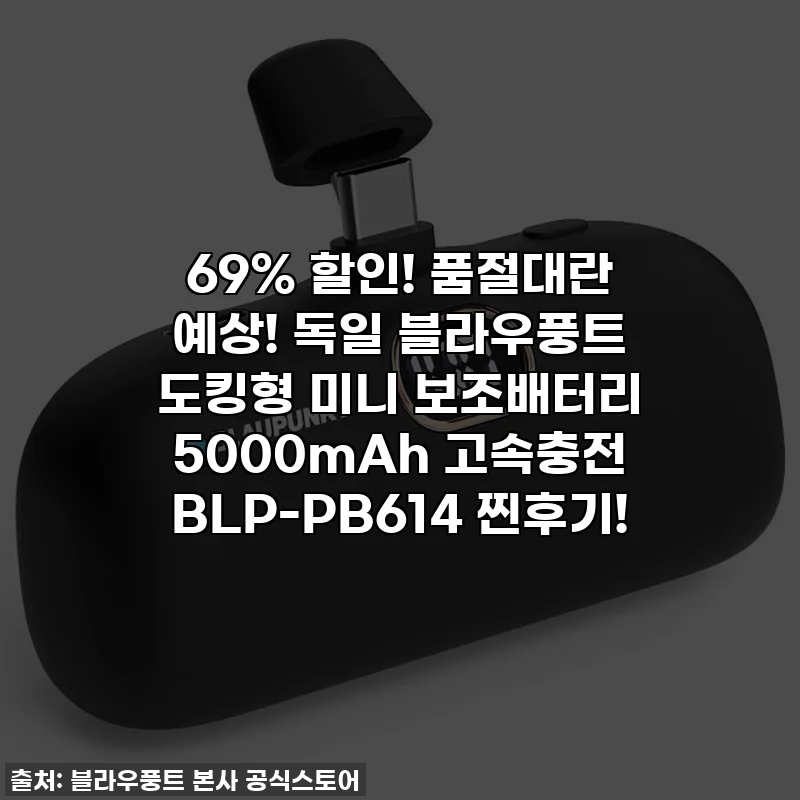 69% 할인! 품절대란 예상! 독일 블라우풍트 도킹형 미니 보조배터리 5000mAh 고속충전 BLP-PB614 찐후기!
