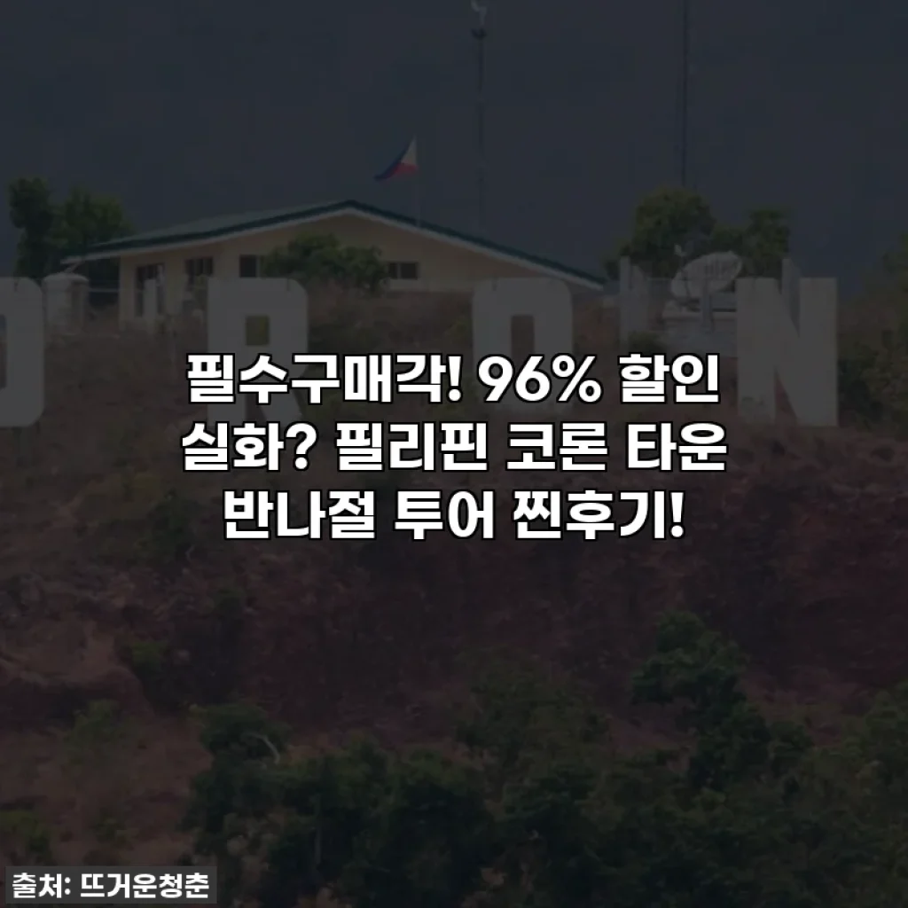 필수구매각! 96% 할인 실화? 필리핀 코론 타운 반나절 투어 찐후기!