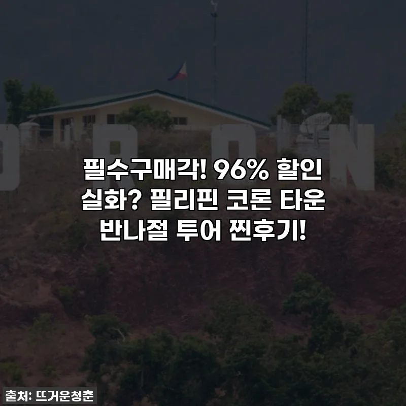 필수구매각! 96% 할인 실화? 필리핀 코론 타운 반나절 투어 찐후기!