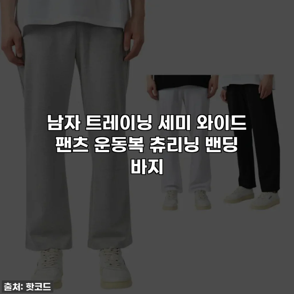 남자 트레이닝 세미 와이드 팬츠 운동복 츄리닝 밴딩 바지