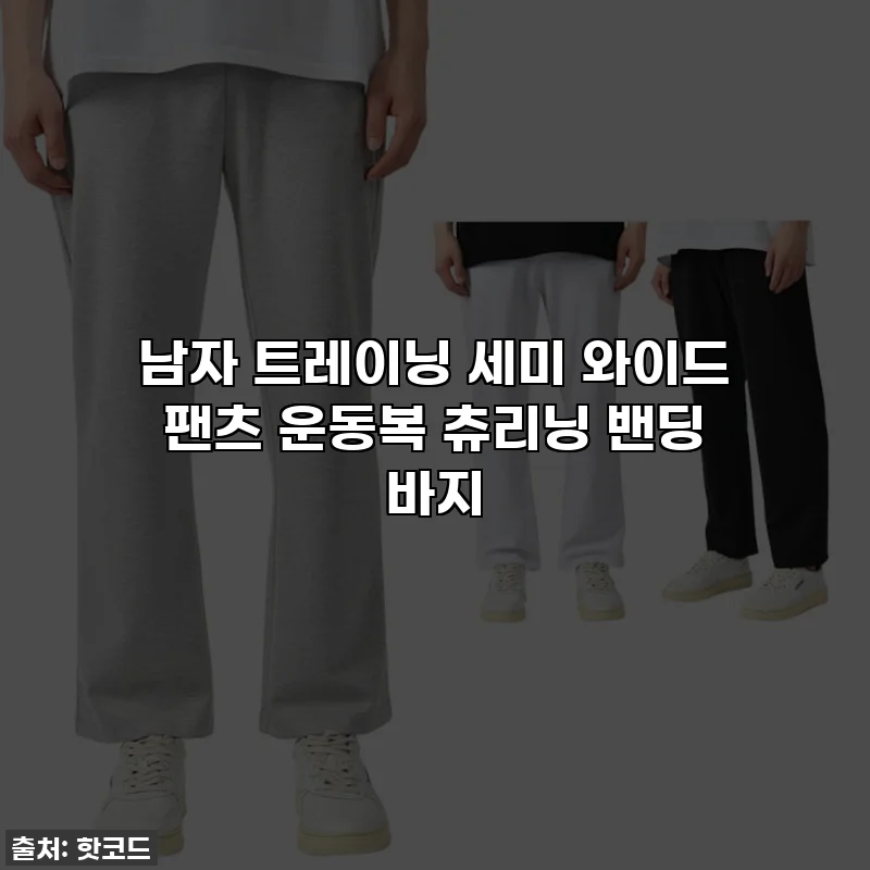 남자 트레이닝 세미 와이드 팬츠 운동복 츄리닝 밴딩 바지