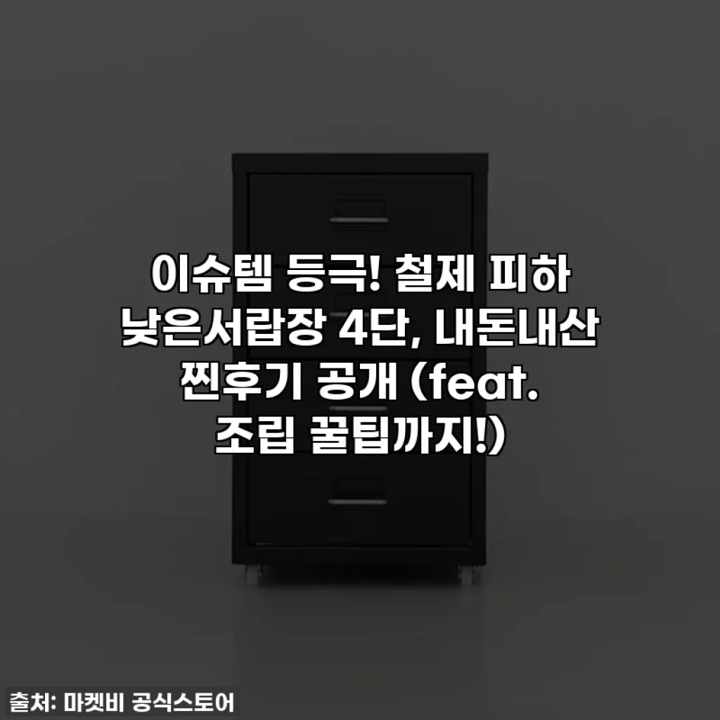 이슈템 등극! 철제 피하 낮은서랍장 4단, 내돈내산 찐후기 공개 (feat. 조립 꿀팁까지!)
