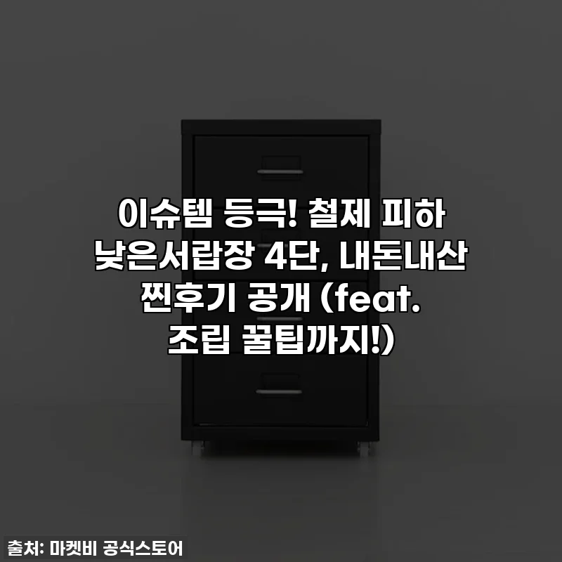 이슈템 등극! 철제 피하 낮은서랍장 4단, 내돈내산 찐후기 공개 (feat. 조립 꿀팁까지!)