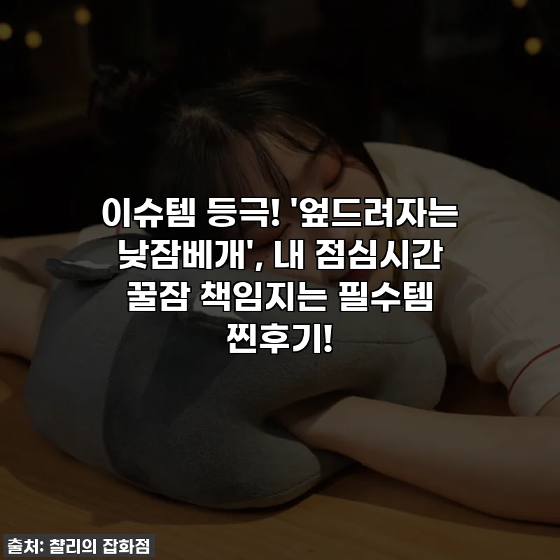 이슈템 등극! '엎드려자는 낮잠베개', 내 점심시간 꿀잠 책임지는 필수템 찐후기!
