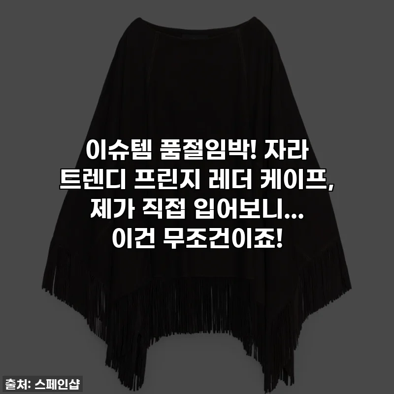 이슈템 품절임박! 자라 트렌디 프린지 레더 케이프, 제가 직접 입어보니... 이건 무조건이죠!