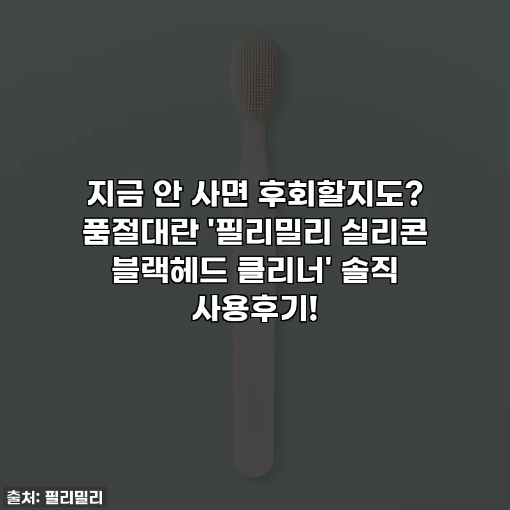 지금 안 사면 후회할지도? 품절대란 '필리밀리 실리콘 블랙헤드 클리너' 솔직 사용후기!